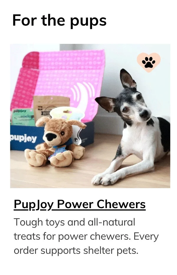 Monthly PupJoy Power Chewers Box, Treats & Toys, All Natural