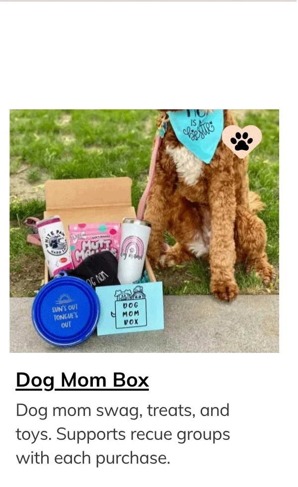 Dog Mom Box- a box for obsessed dog moms