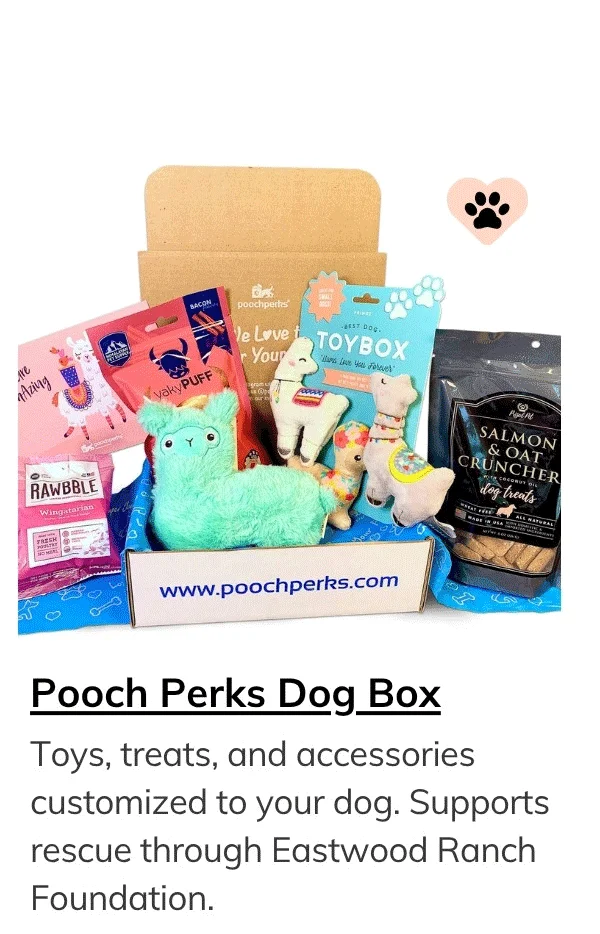 Pooch Perks Premium Customized Dog Boxes