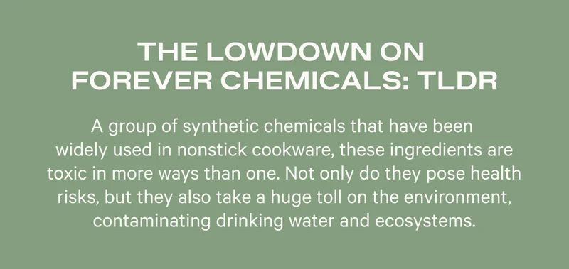 THE LOWDOWN ON FOREVER CHEMICALS - TLDR
