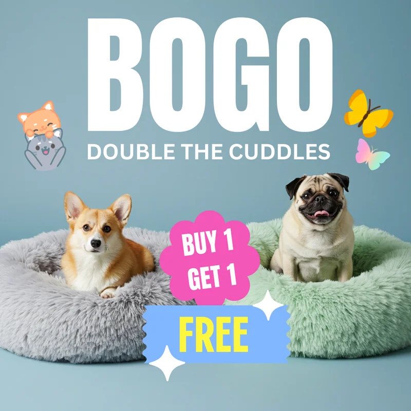 BOGO Beds
