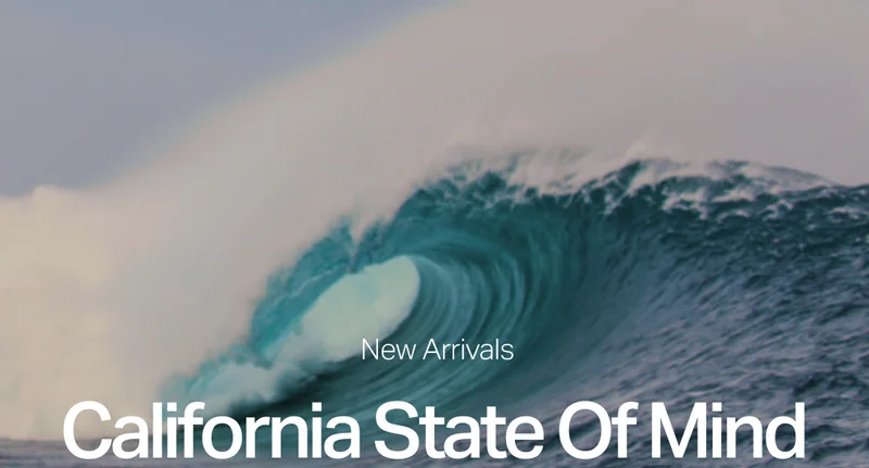 New Arrivals