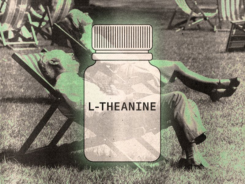 Image may contain: L-Theanine, Plant, Jar, Bottle, and Person