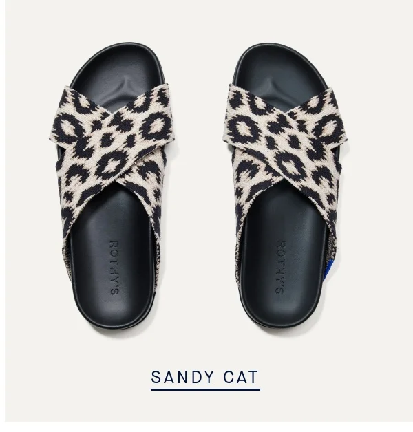 SANDY CAT