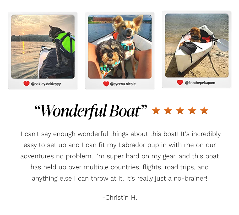 5-STAR REVIEWS 5-STAR REVIEWS