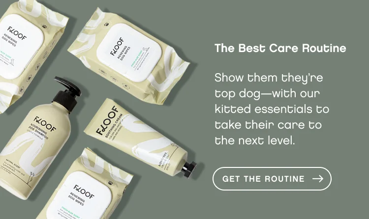 The Best Care Routine. Show them they’re top dog—with our kitted essentials to take their care to the next level. Get The Routine