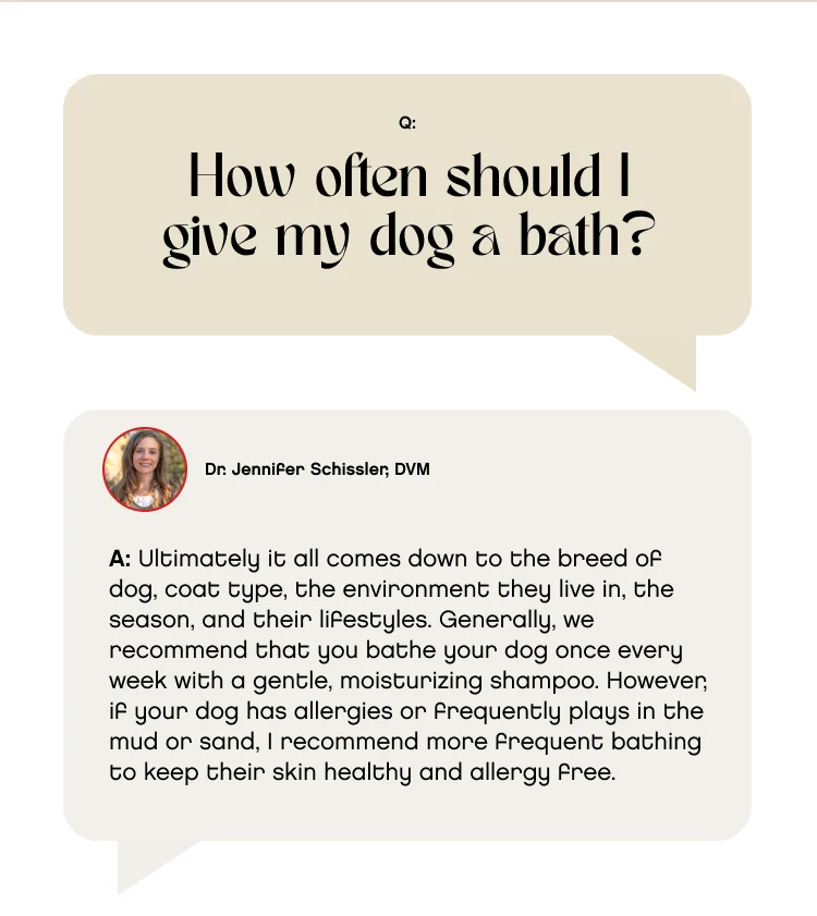 How often should I give my dog a bath? A: Ultimately it all comes down to the breed of dog, coat type, the environment they live in, the season, and their lifestyles. Generally, we recommend that you bathe your dog once every week with a gentle, moisturizing shampoo. However, if your dog has allergies or frequently plays in the mud or sand, I recommend more frequent bathing to keep their skin healthy and allergy free.