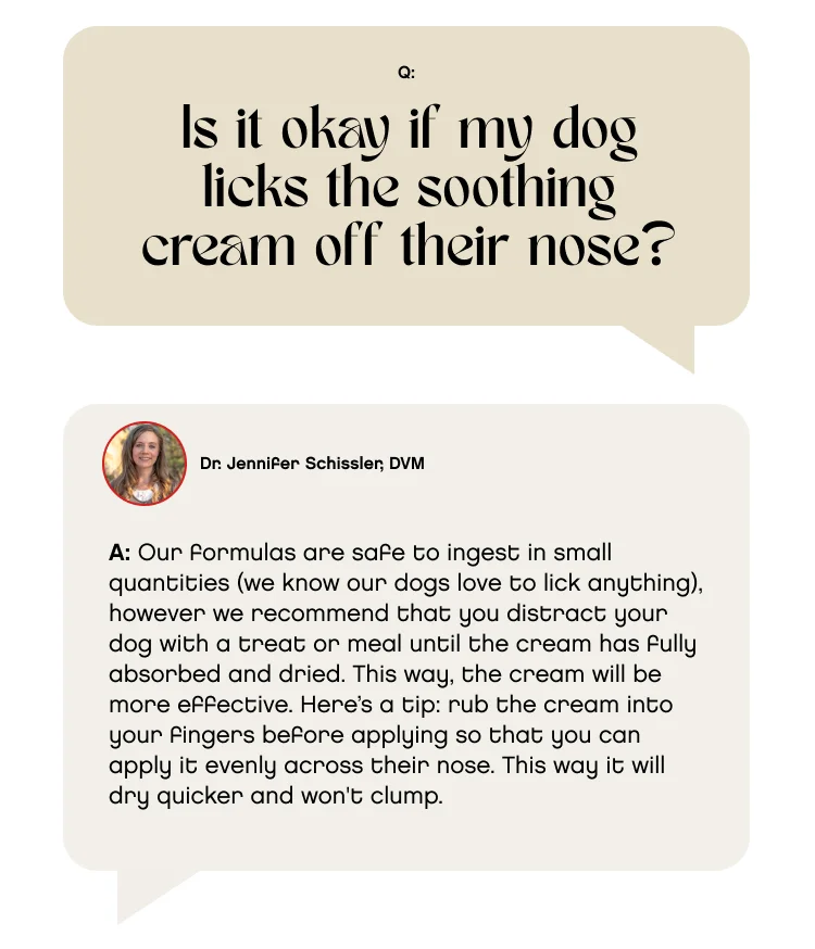 Is it okay if my dog licks the soothing cream off their nose? A: Our formulas are safe to ingest in small quantities (we know our dogs love to lick anything), however we recommend that you distract your dog with a treat or meal until the cream has fully absorbed and dried. This way, the cream will be more effective. Here’s a tip: rub the cream into your fingers before applying so that you can apply it evenly across their nose. This way it will dry quicker and won't clump.