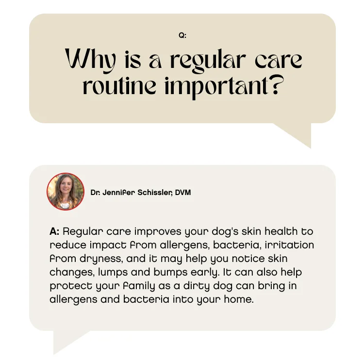 Why is a regular care routine important? A: Regular care improves your dog's skin health to reduce impact from allergens, bacteria, irritation from dryness, and it may help you notice skin changes, lumps and bumps early. It can also help protect your family as a dirty dog can bring in allergens and bacteria into your home.
