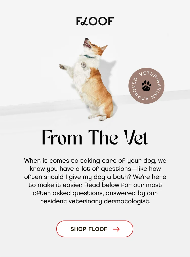From The Vet. When it comes to taking care of your dog, we know you have a lot of questions—like how often should I give my dog a bath? We’re here to make it easier. Read below for our most often asked questions, answered by our resident veterinary dermatologist. Shop Floof