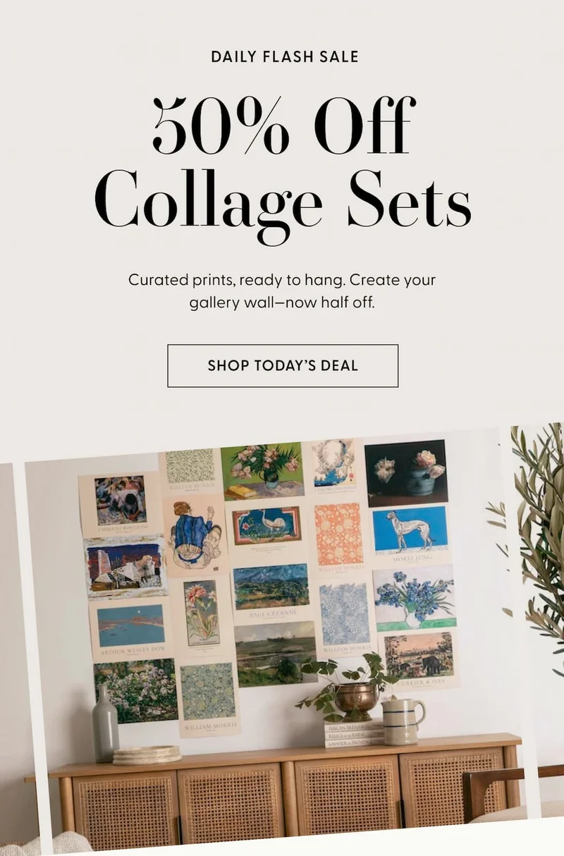 shop the sale