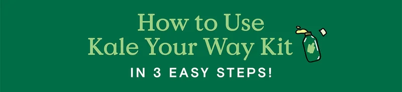 How to Use Kale Your Way Kit in 3 easy steps!