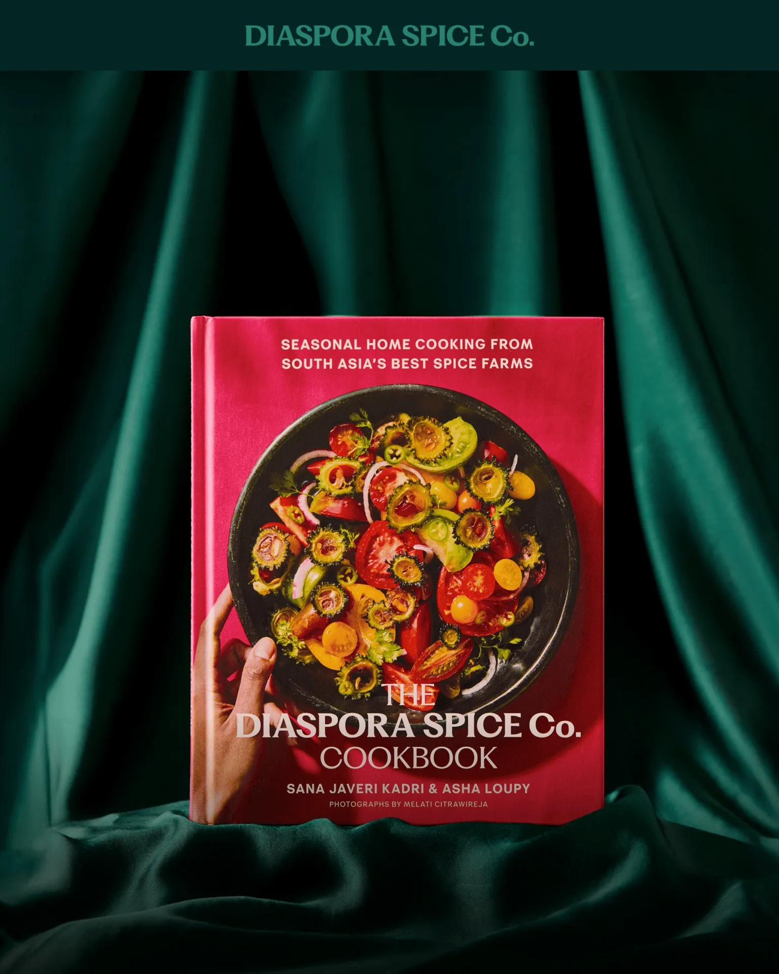 The Diaspora Spice Co. Cookbook