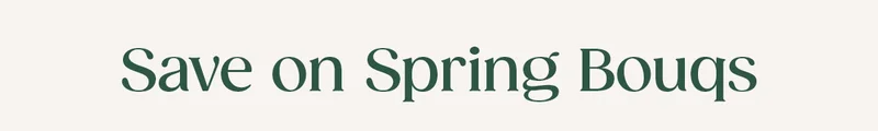 Save on Spring Bouqs