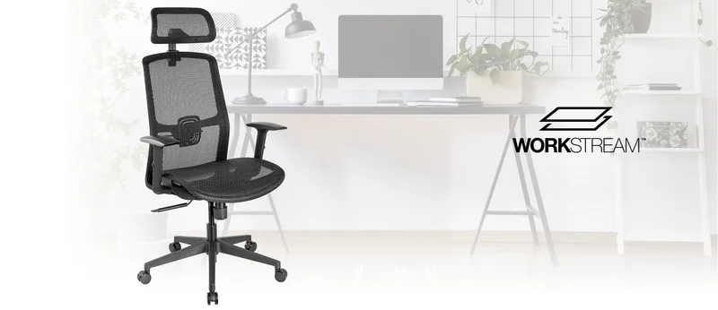 Ergonomic Home and Office Chair