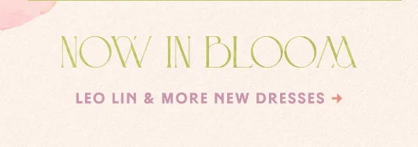 Leo Lin & More New Dresses