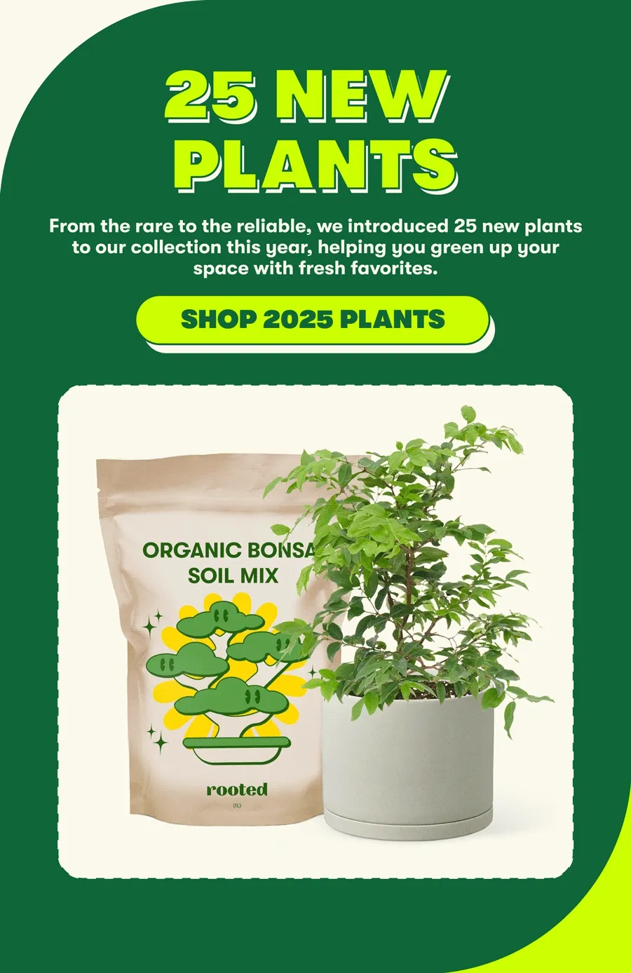 25 NEW PLANTS From the rare to the reliable, we introduced 25 new plants to our collection this year, helping you green up your space with fresh favorites.  [SHOP 2025 PLANTS]