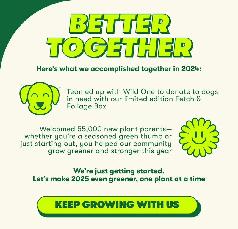 BETTER TOGETHER  Here’s what we accomplished together in 2024:   Teamed up with Wild One to donate to dogs in need with our limited edition Fetch & Foliage Box Welcomed X new plant parents—whether you’re a seasoned green thumb or just starting out, you helped our community grow greener and stronger this year We’re just getting started. Let’s make 2025 even greener, one plant at a time. 🌿  [KEEP GROWING WITH US]