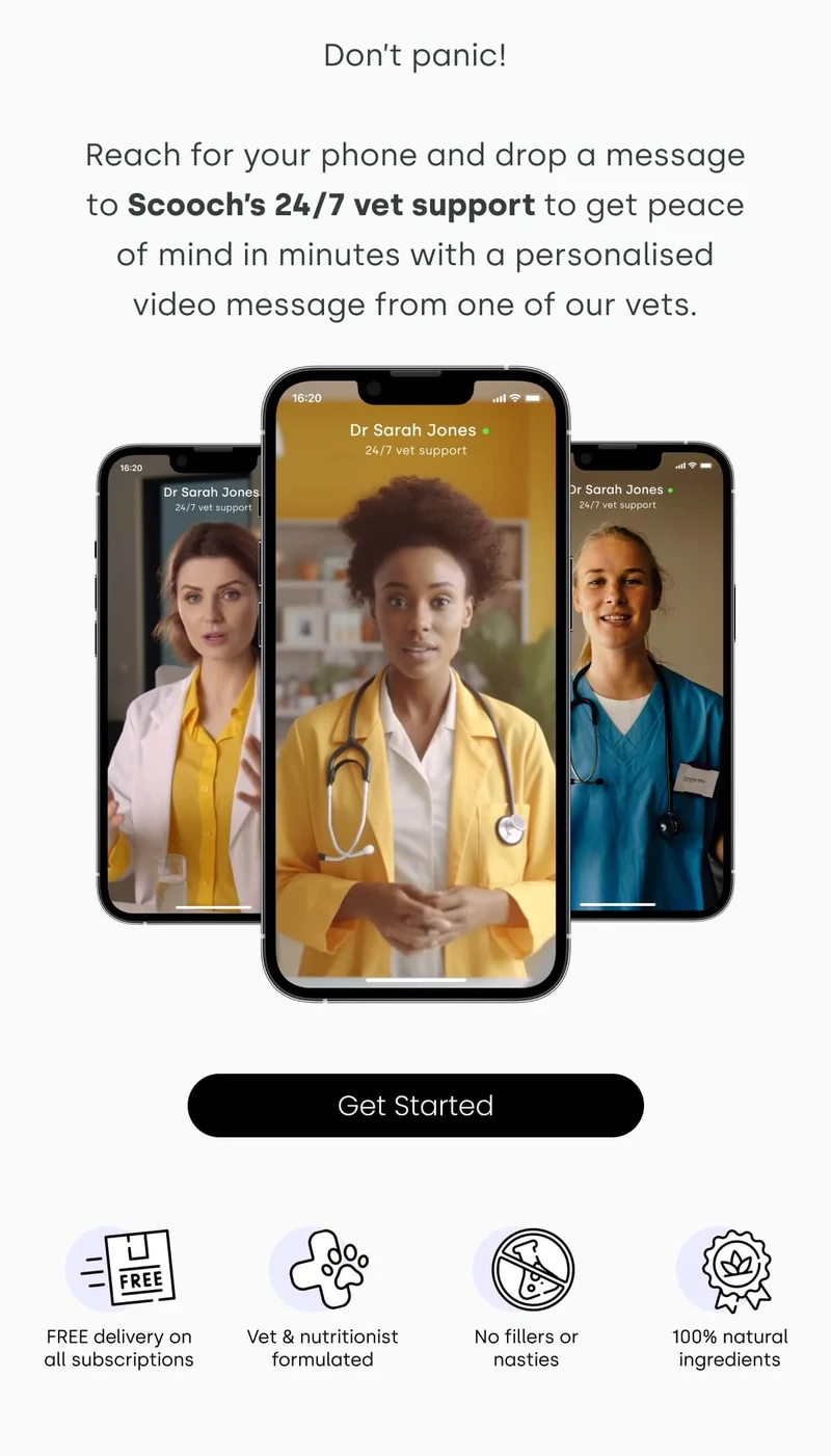 Reach for your phone and drop a message to Scooch’s 24/7 vet support to get peace of mind in minutes with a personalised video message from one of our vets. - Get started