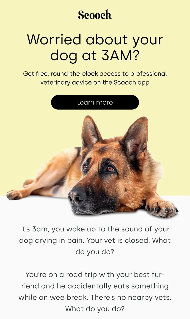 Worried about your dog at 3AM? Get round-the-clock access to professional veterinary advice with Scooch. - Learn how