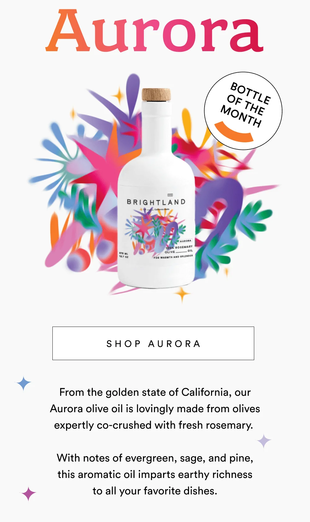 [ SHOP NOW ]