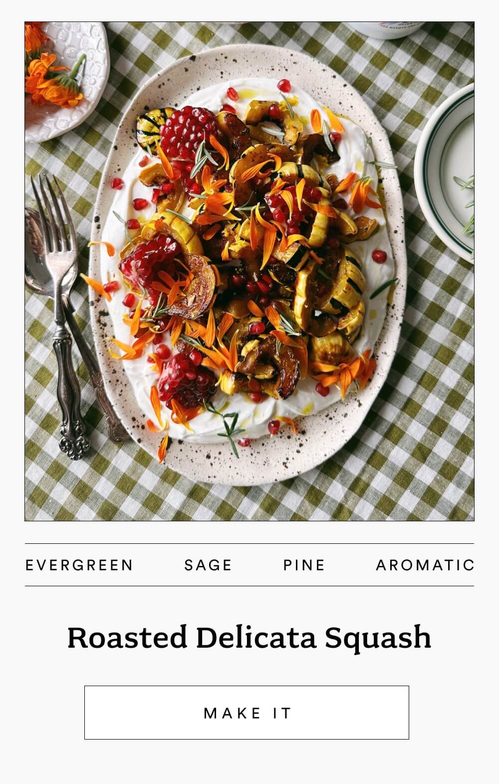 Roasted Delicata Squash with Aurora [ MAKE IT ]