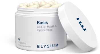 Basis | ELYSIUM