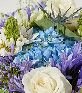 Featured Bouq: Aquamarine