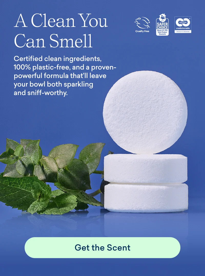 A clean you can smell - try our 100% plastic free toilet bowl cleaner!