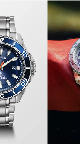Promaster Dive - BN0191-55L