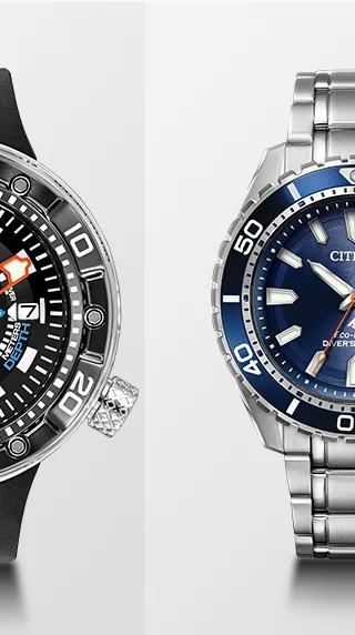 Promaster Dive - BN0191-55L