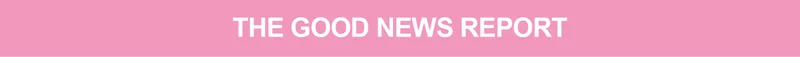 THE GOOD NEWS REPORT