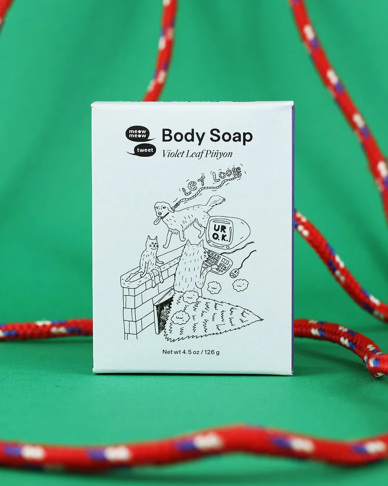A light blue box sits on a green background with red rope tangled around it