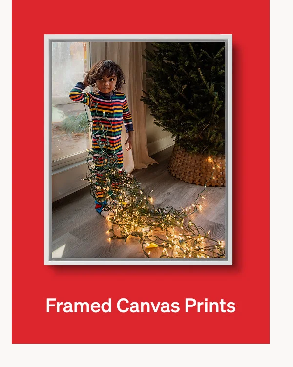 10 Free Cards + 50% Off Best-Selling Holiday Cards