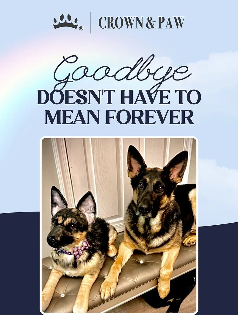 Goodbye doesn't have to mean forever
