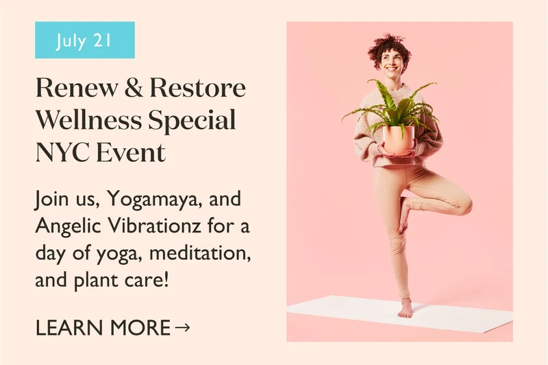 Renew & Restore Wellness Special NYC Event