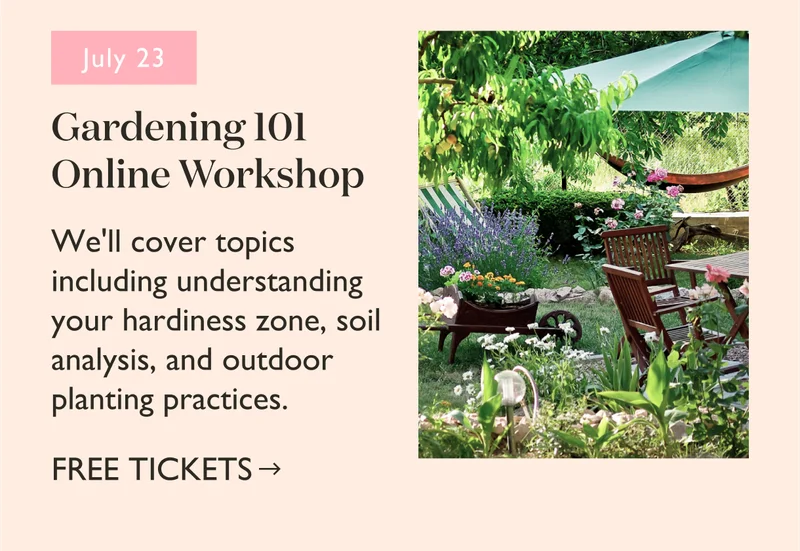 Gardening 101 Online Workshop