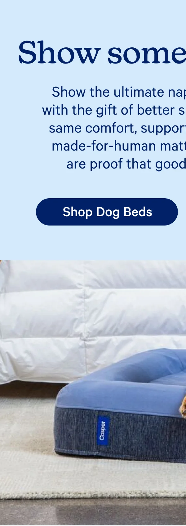 Show Some Puppy Love - Shop Dog Beds