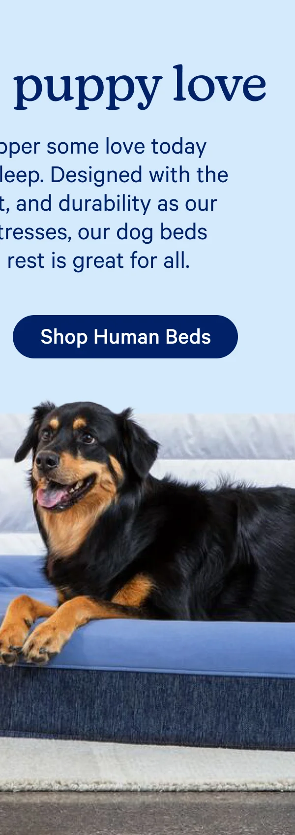 Shop Human Beds
