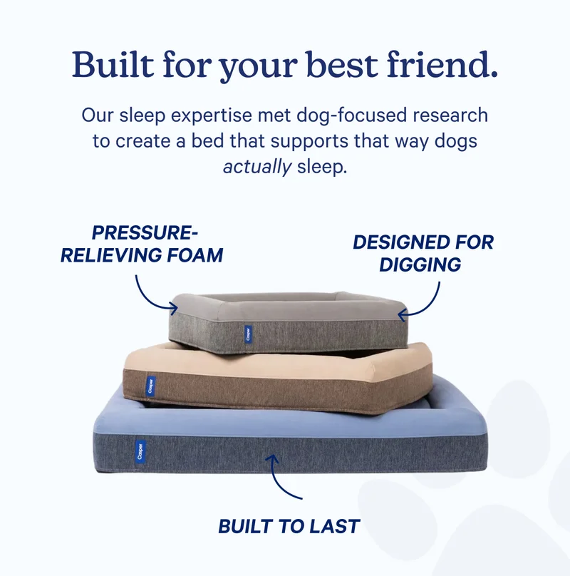Built for your best friend