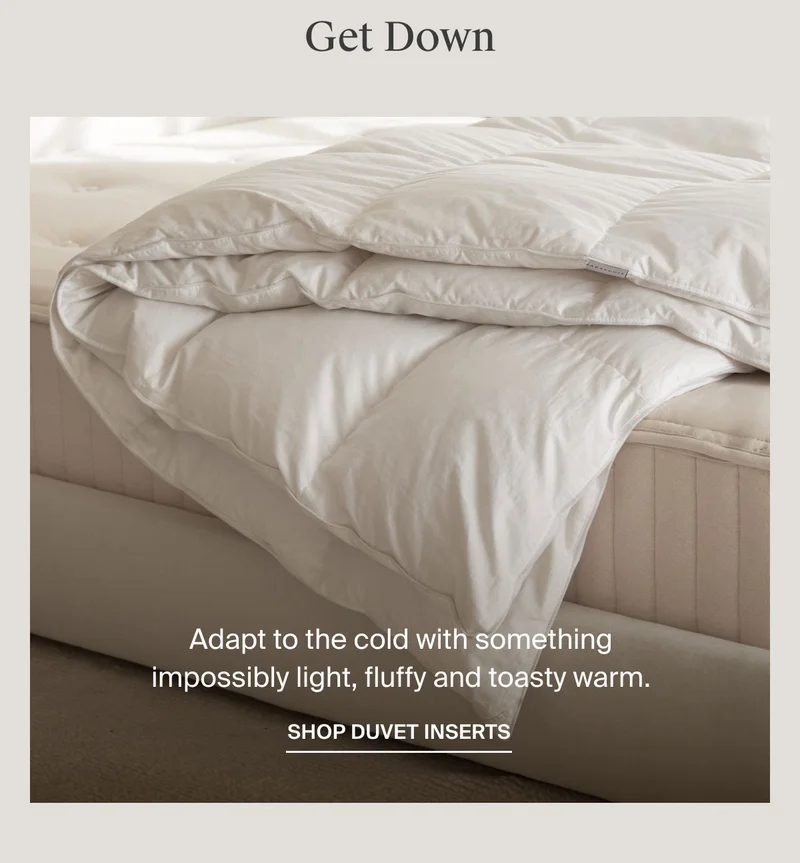 Shop Duvet Inserts