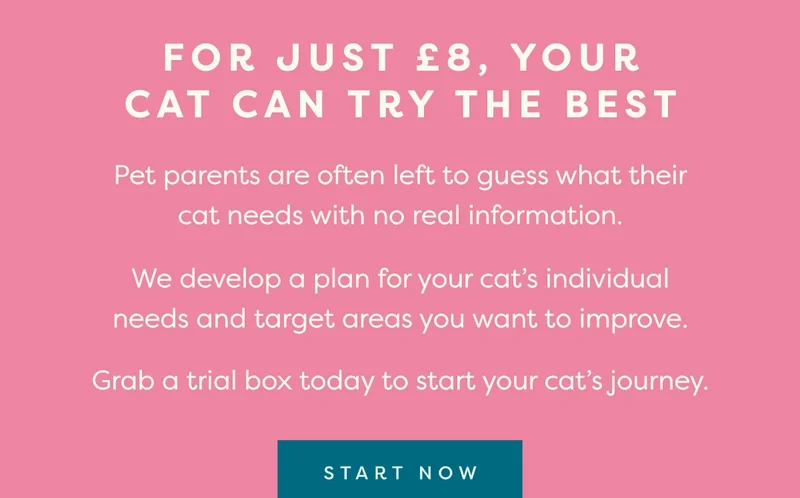 Start Now