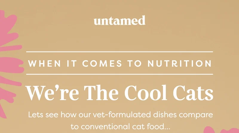 We're the cool cats