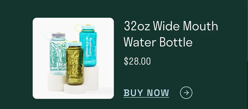 32oz Wide Mouth Water Bottle