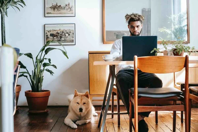 34 low-cost, high-profit business models for beginners