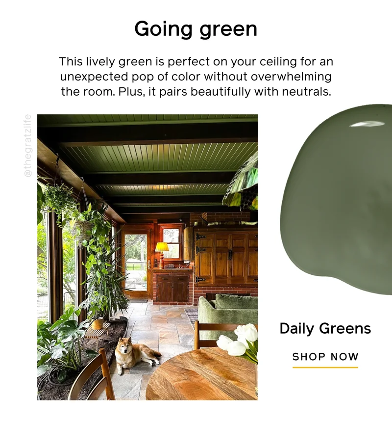 Going green. This lively green is perfect on your ceiling for an unexpected pop of color without overwhelming the room. Plus, it pairs beautifully with neutrals. Daily Greens SHOP NOW