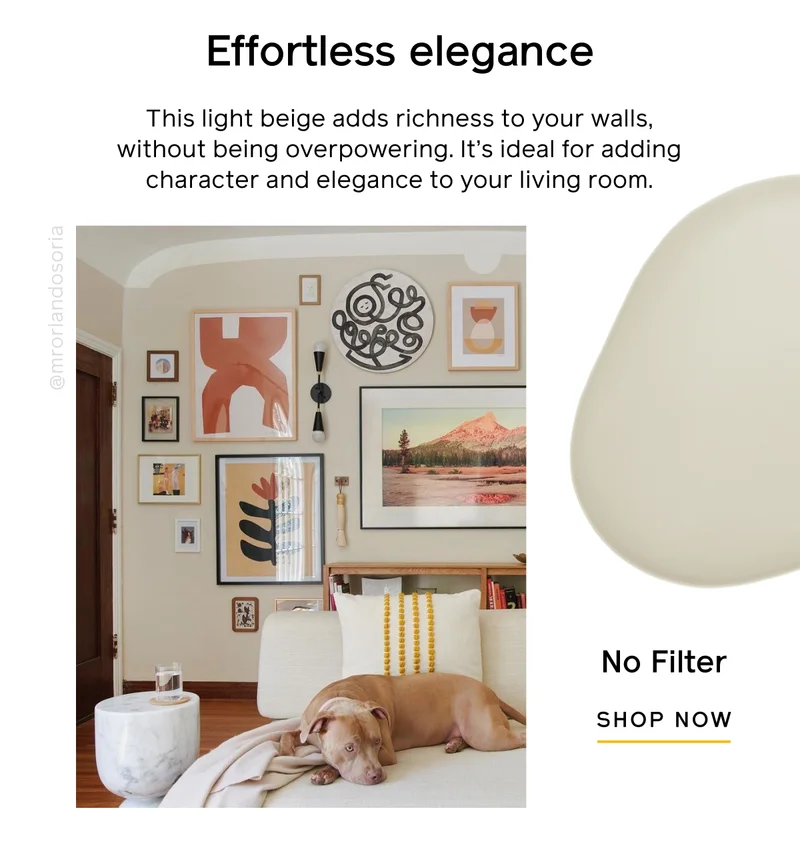 Effortless elegance. This light beige adds richness to your walls, without being overpowering. It's ideal for adding character and elegance to your living room. No Filter SHOP NOW