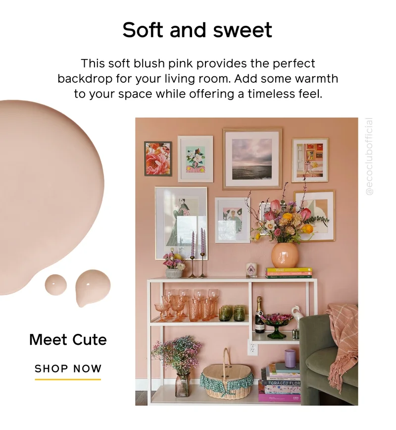 Soft and sweet. This soft blush pink provides the perfect backdrop for your living room. Add some warmth to your space while offering a timeless feel. Meet Cute SHOP NOW