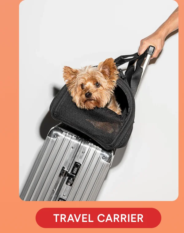 The Travel Carrier
