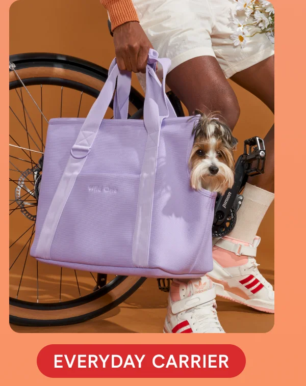 Everyday Carrier